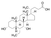 6-乙基鵝去氧膽酸，98%