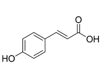 對羥基肉桂酸，98%（HPLC）