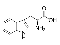 L-色氨酸，99%