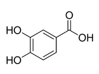 3，4-二羥基苯甲酸，CP，98%